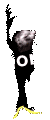 Hore