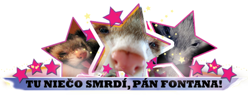 Julius von Fontana FACEBOOK >>> Tu niečo smrdí, pán Fontana!